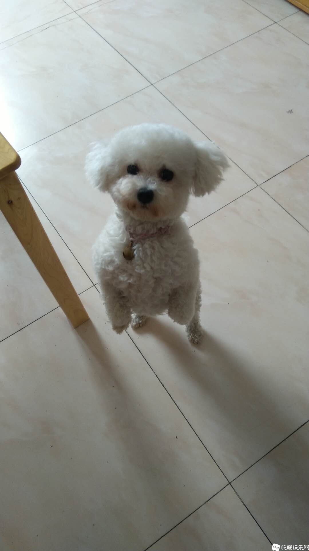 微信图片_20210121134622.jpg