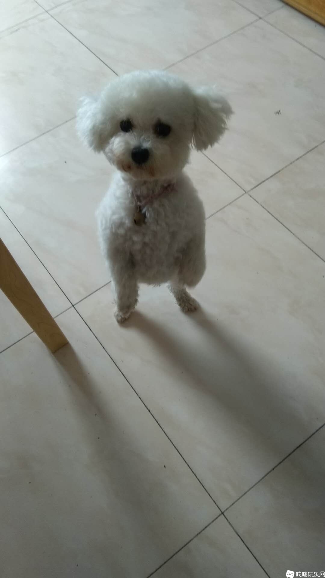 微信图片_20210121134626.jpg