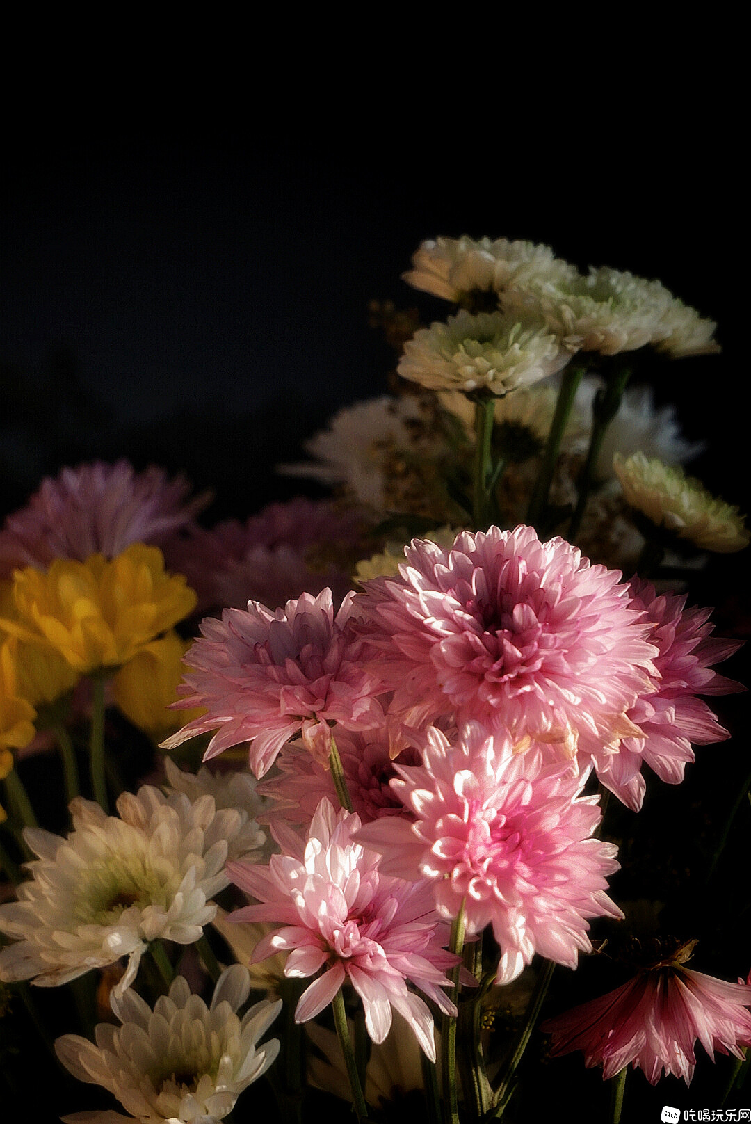 DSC06739-01_副本.jpg