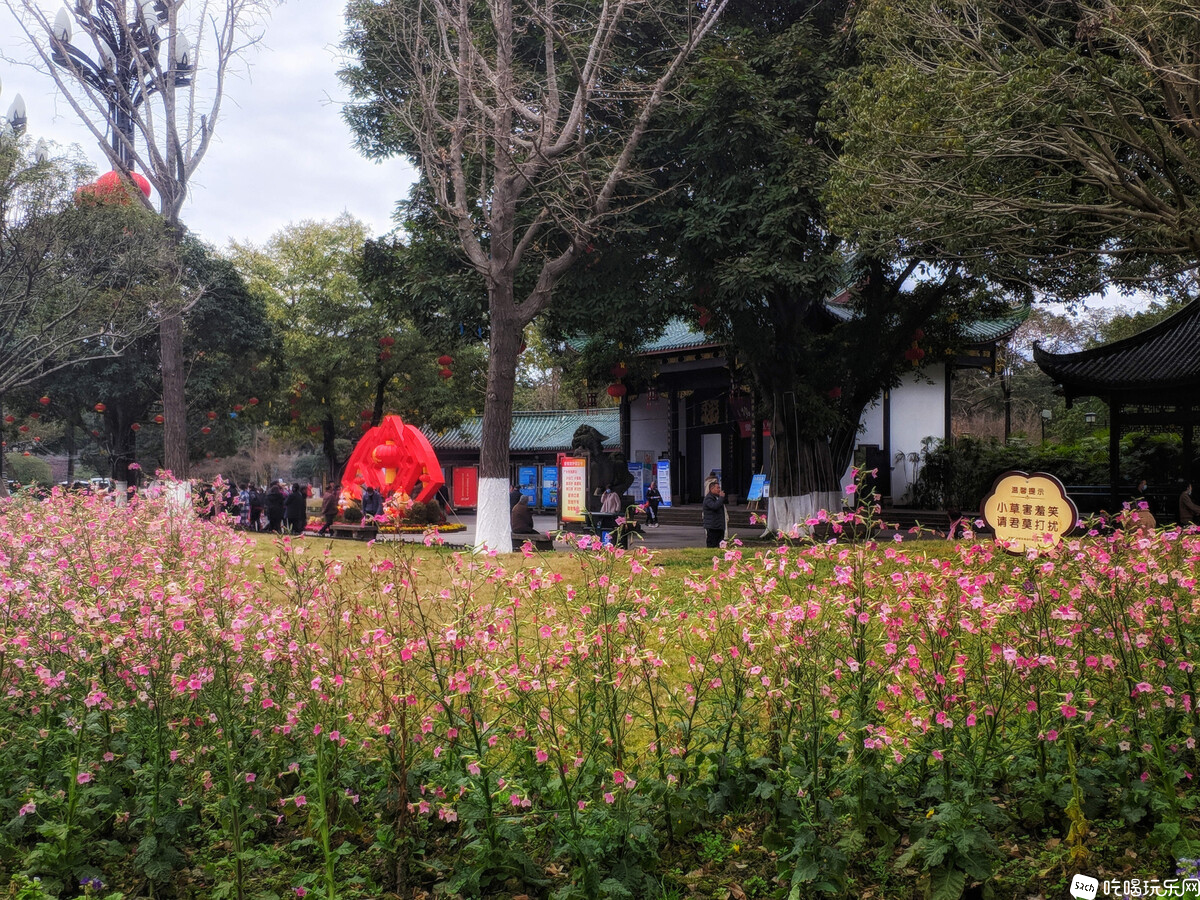 IMG_20210215_142135-01_副本.jpg