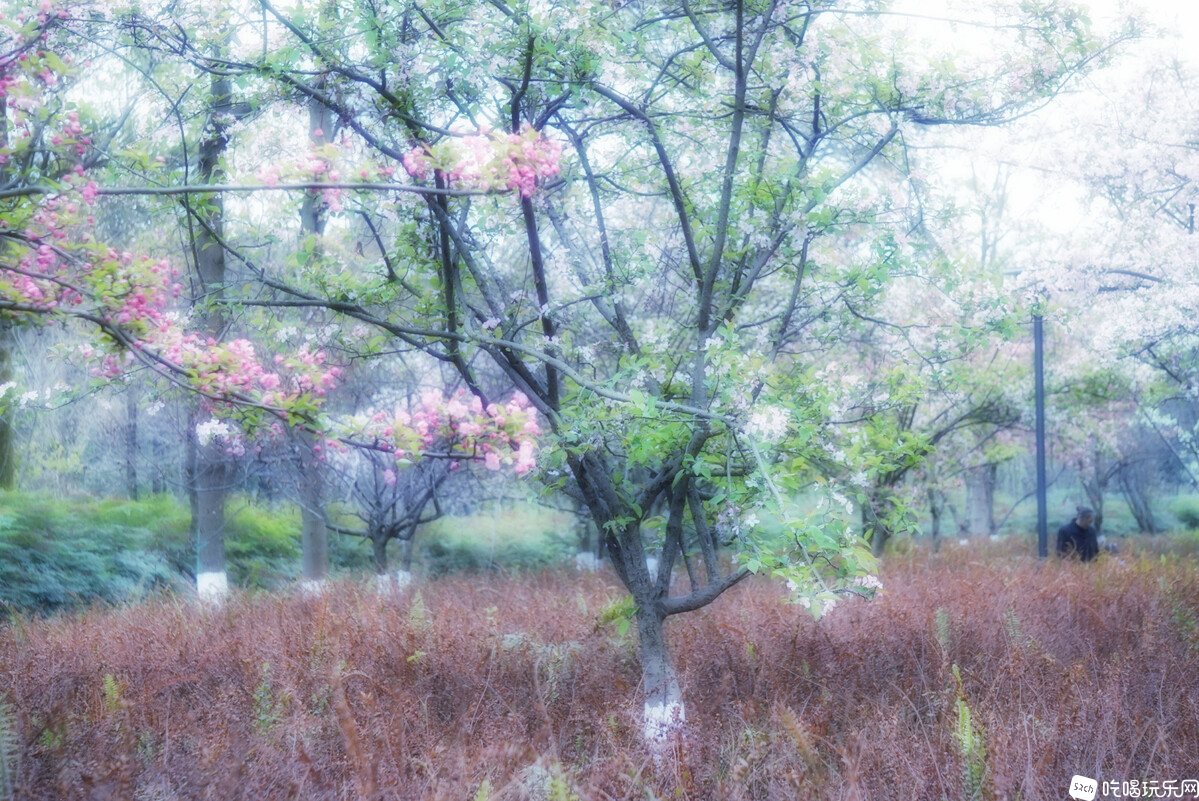 DSC07227-01_副本.jpg