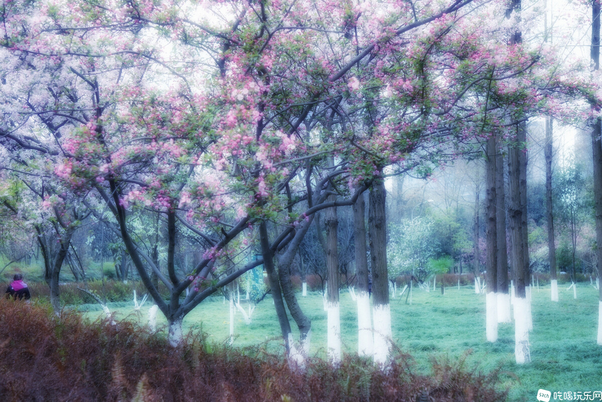 DSC07230-01_副本.jpg