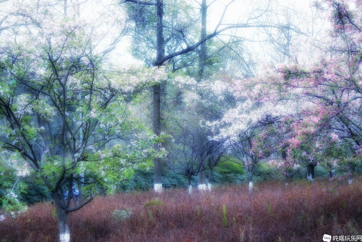 DSC07233-01_副本.jpg