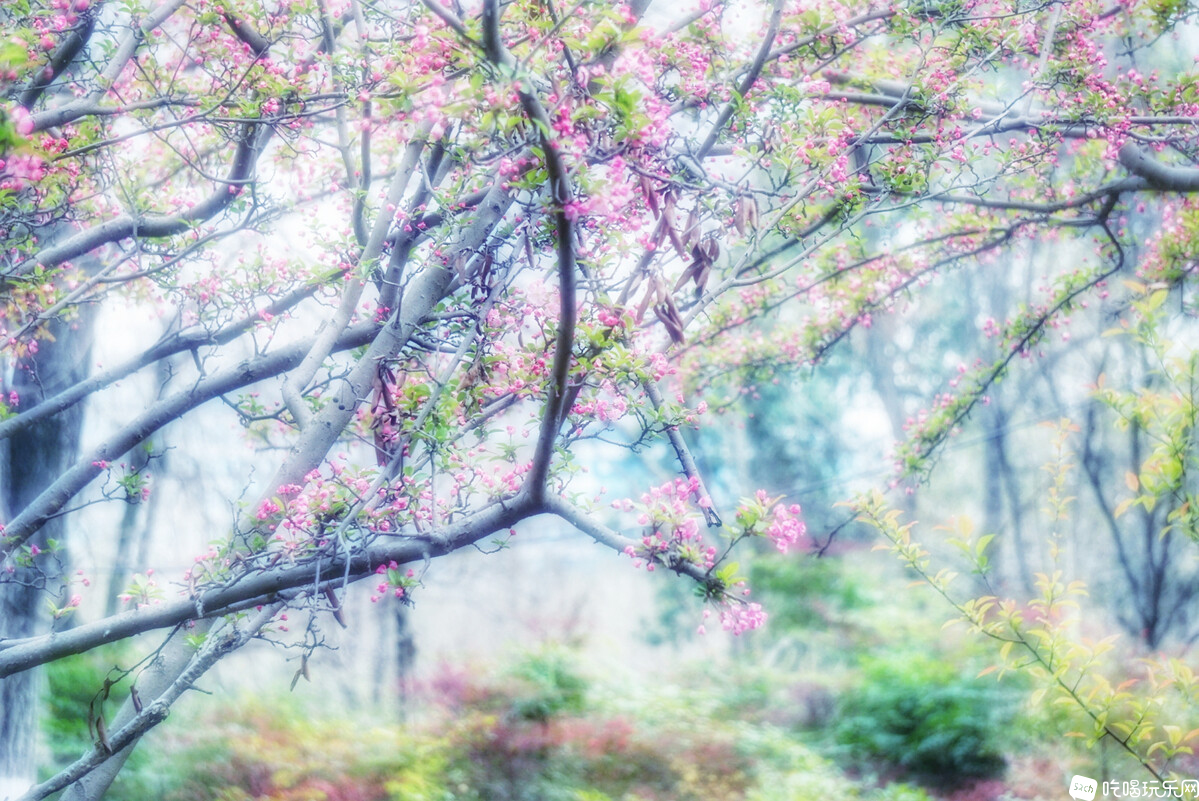 DSC07210-01_副本.jpg