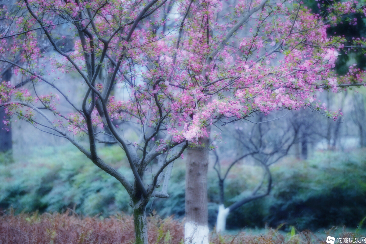 DSC07267-01_副本.jpg