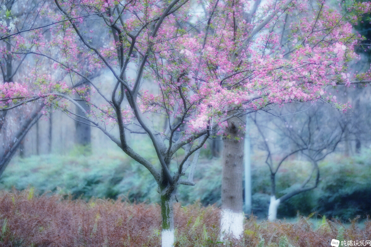 DSC07269-01_副本.jpg