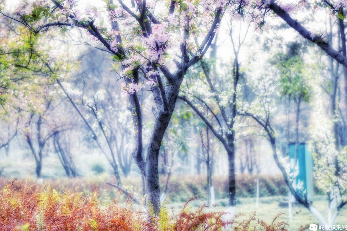 LRG_DSC07186-01_副本.jpg
