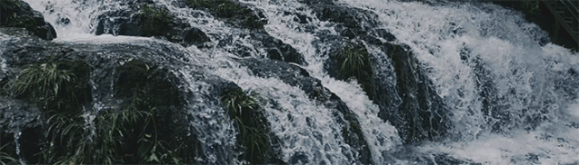 C942CCB5-4CEE-4A9D-9E3C-3E32A84BBE71640.gif