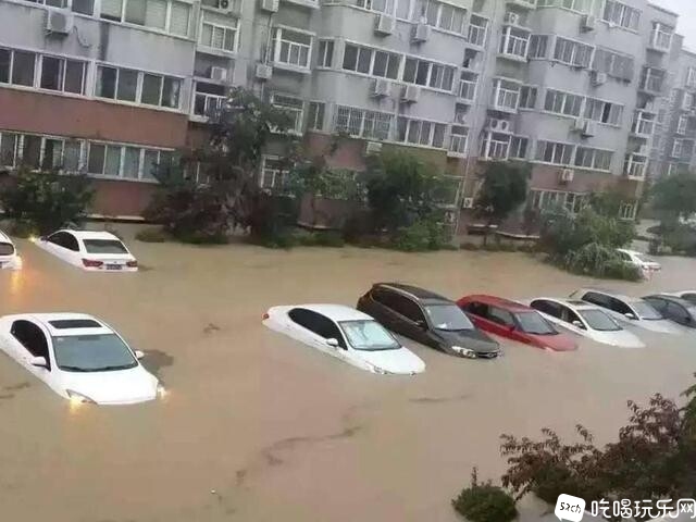 水泡车4.jpg