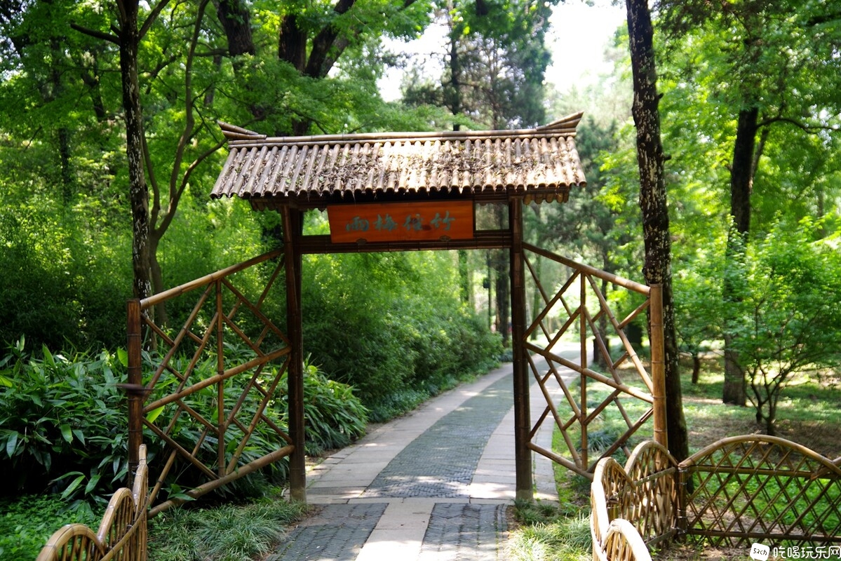 IMGP8600_副本.jpg