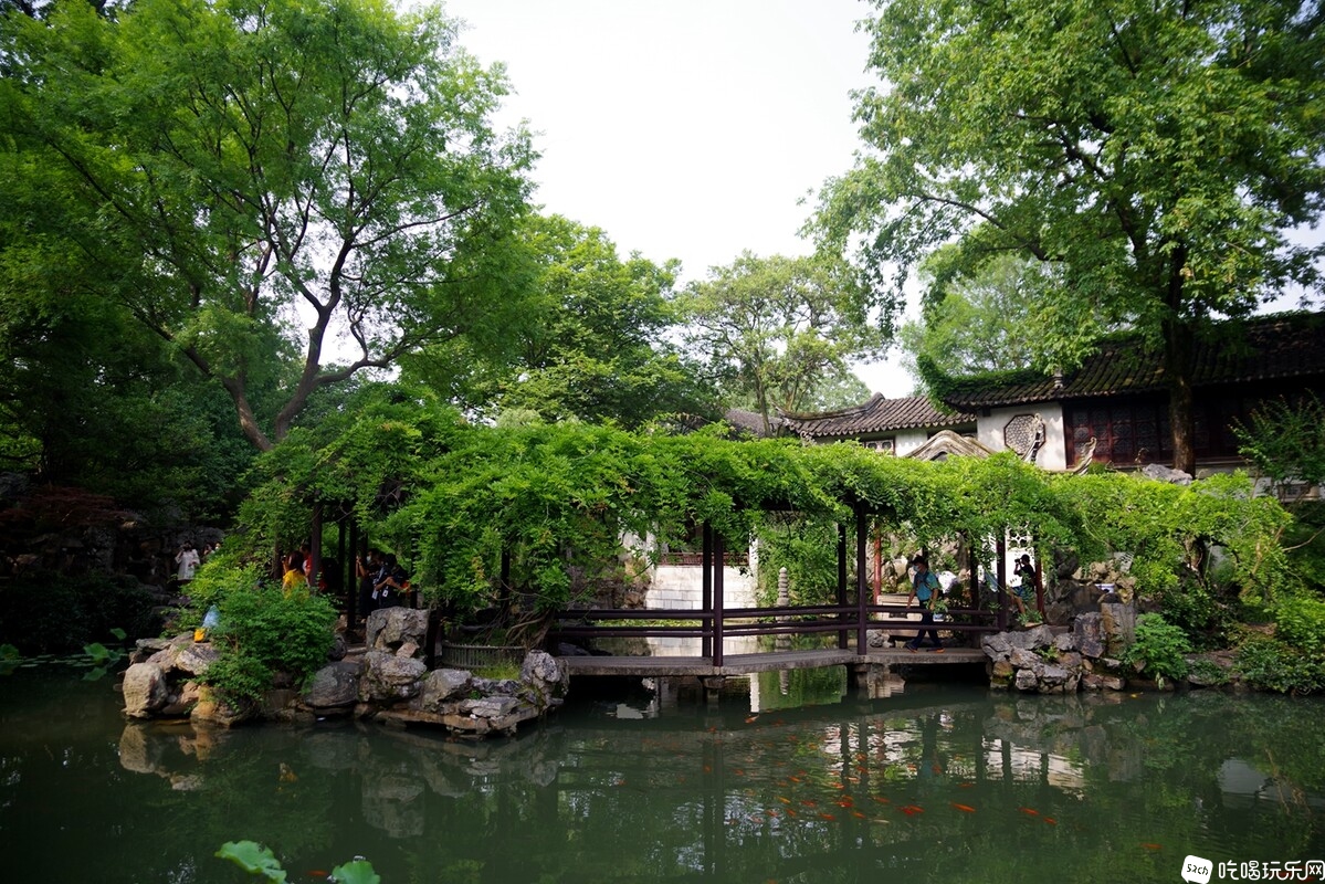 IMGP8735_副本.jpg