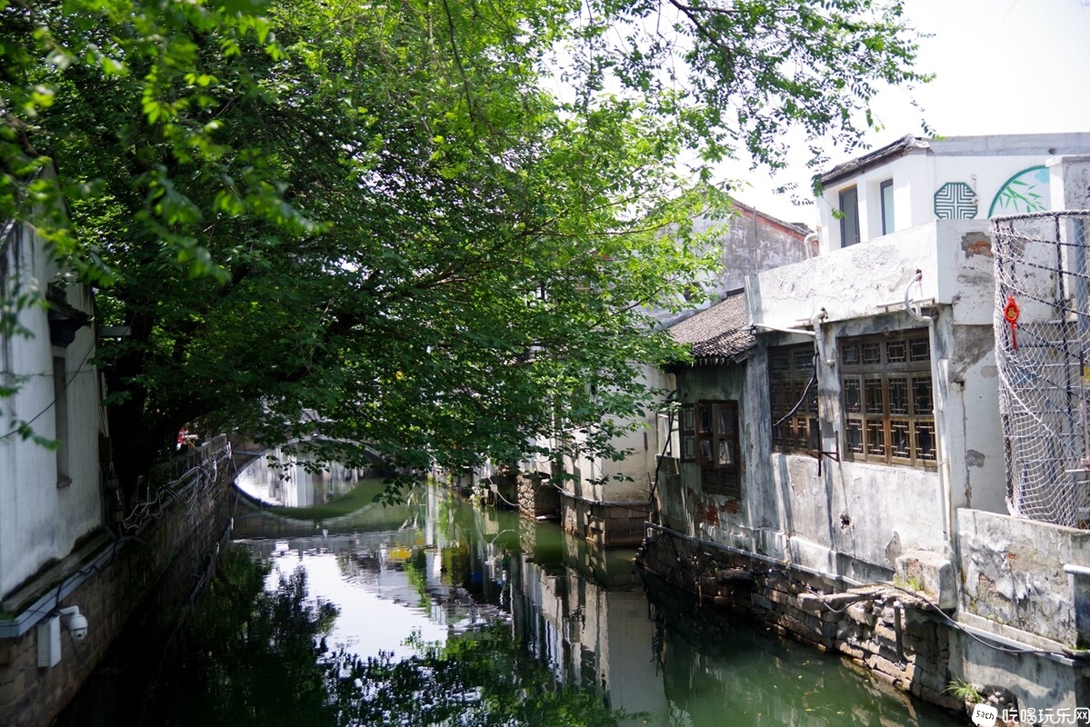 IMGP9257_副本.jpg