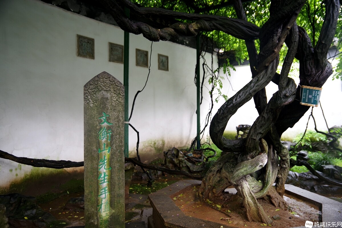 IMGP9391_副本.jpg