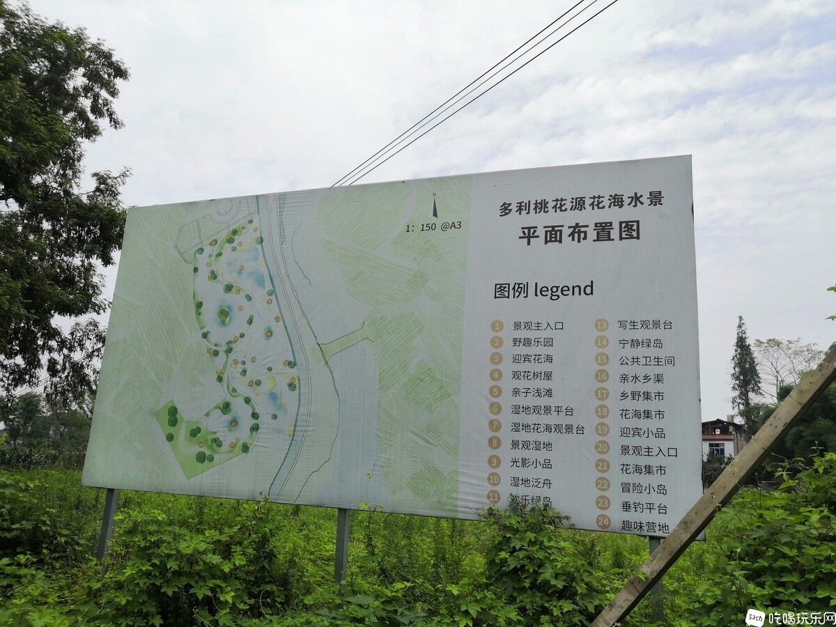 多利.jpg