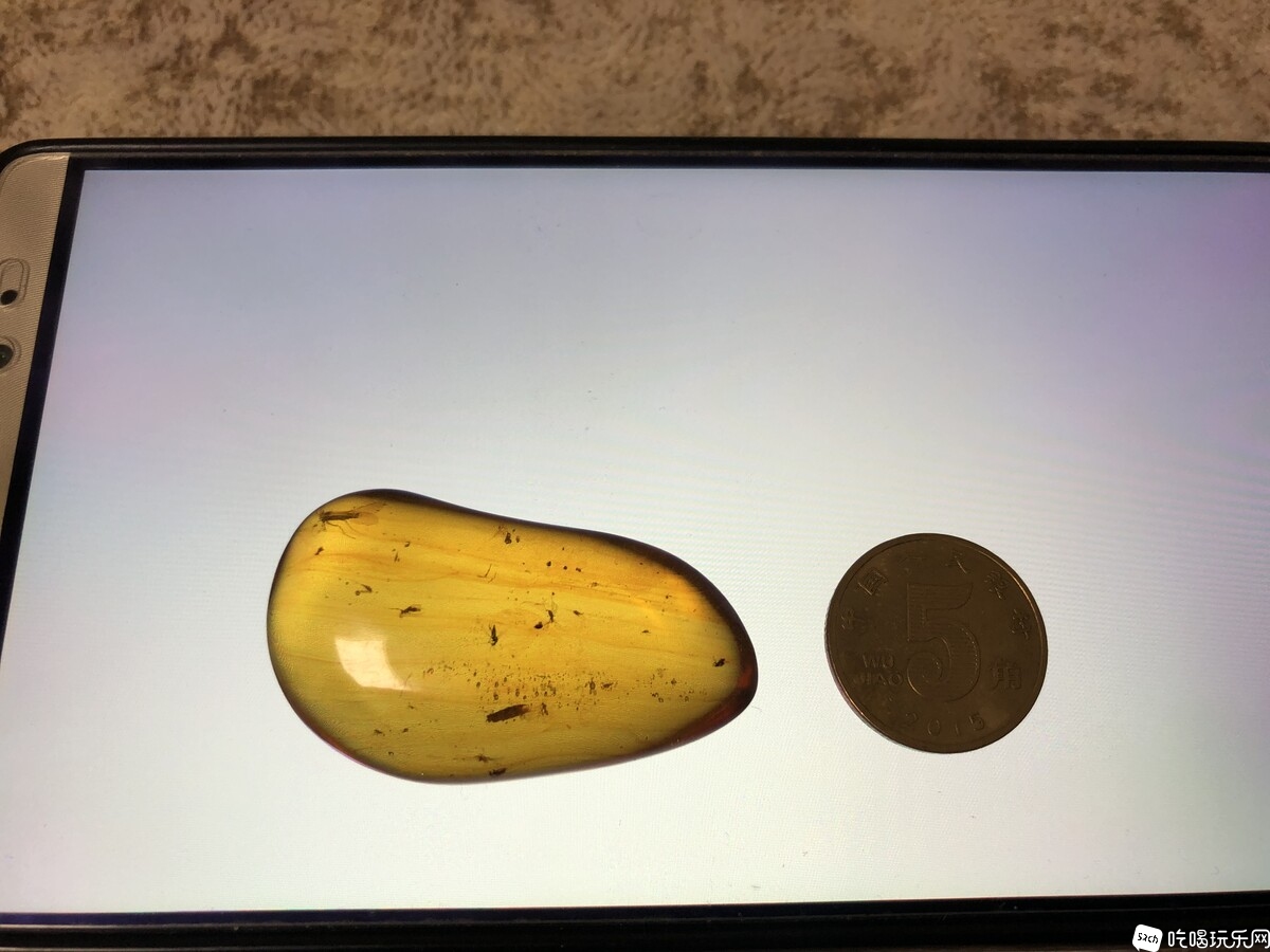 微信图片_20200219114743.jpg