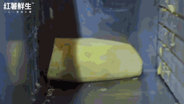 054ac1455a278ef479cc4d9ee22309ce.jpg!730x0.gif
