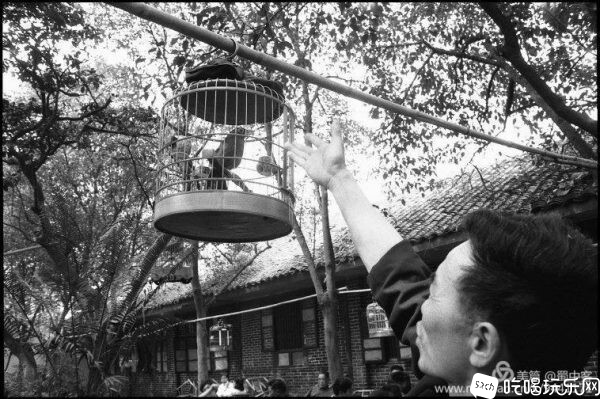 1984年4月30日星期一，成都百花潭公园外开放的花鸟市场4-600x399.jpg