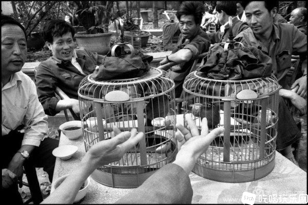 1984年4月30日星期一，成都百花潭公园外开放的鸟市场5-600x399.jpg