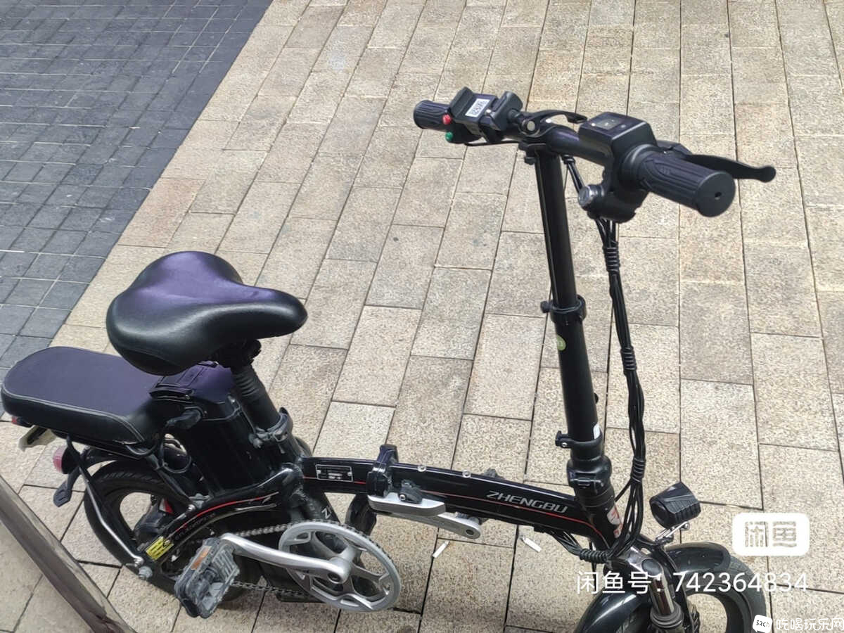 image_editor_1640855896478.jpg