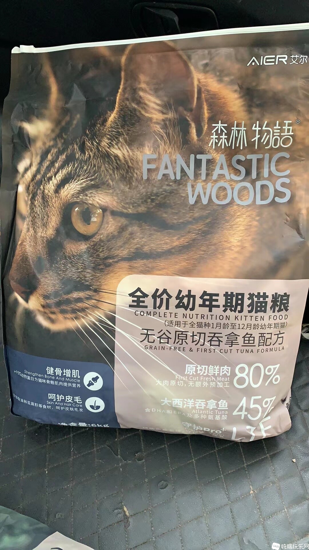 艾尔幼猫大袋.jpeg