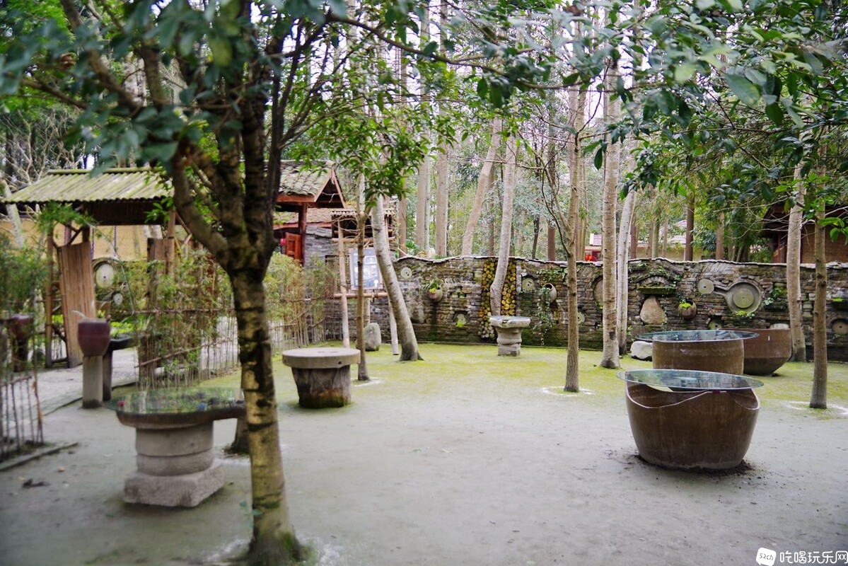 IMGP6486_副本.jpg