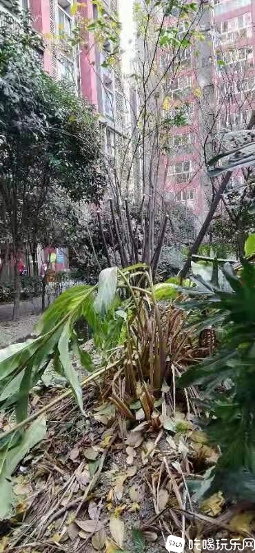 _cgi-bin_mmwebwx-bin_webwxgetmsgimg__&amp;MsgID=7105957497343563966&amp;skey=@crypt_98ff.jpg