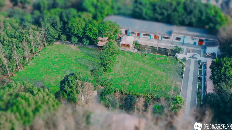 003.jpg