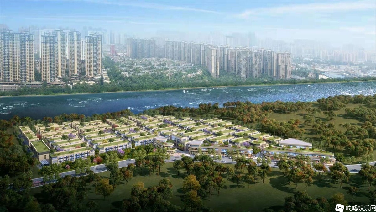 项目规划鸟瞰图.jpg