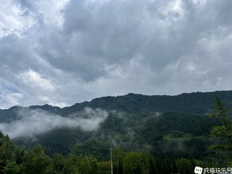 IMG_9234.JPG