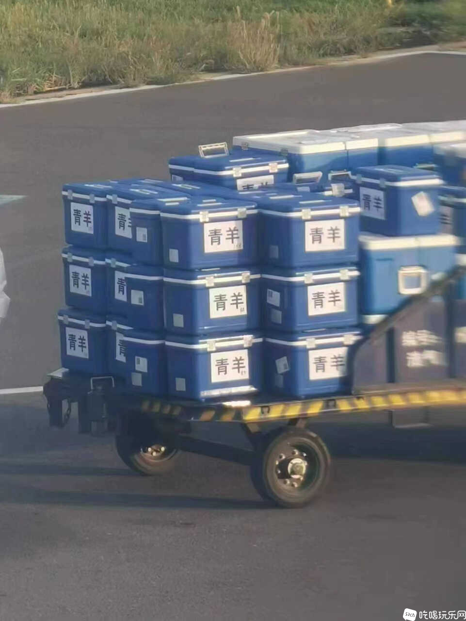 mmexport1662448111110.jpg