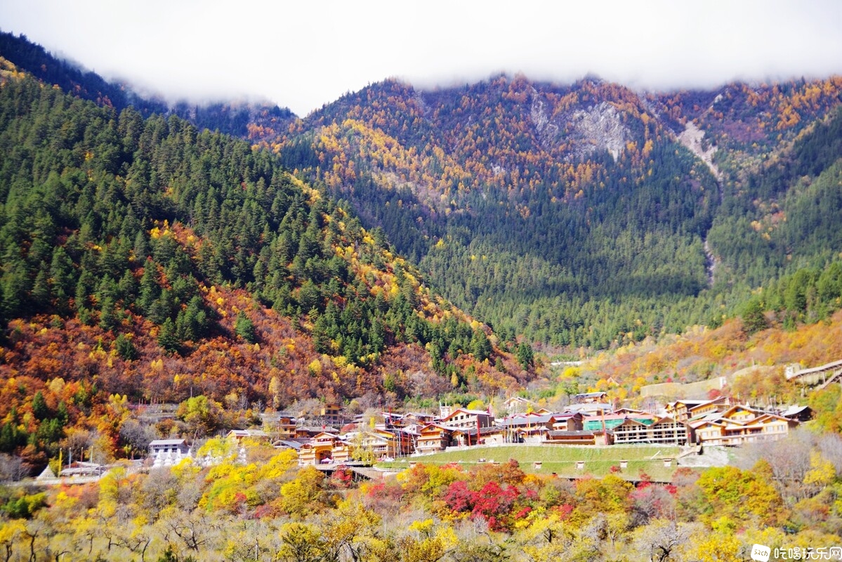 IMGP3050_副本.jpg