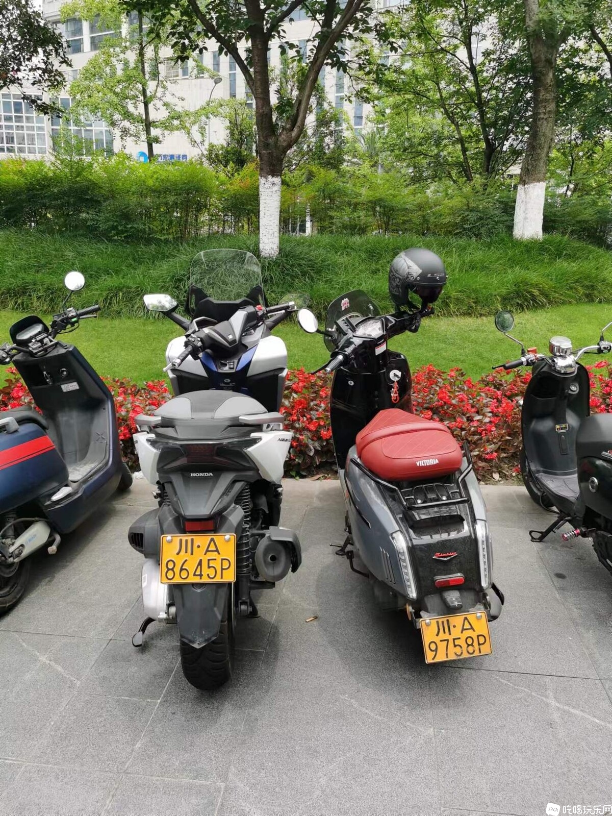 后面.jpg