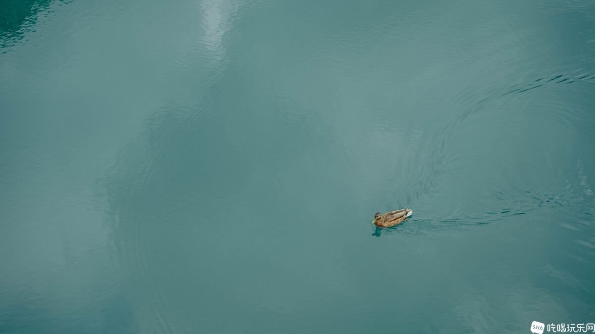 LCG04373.jpg