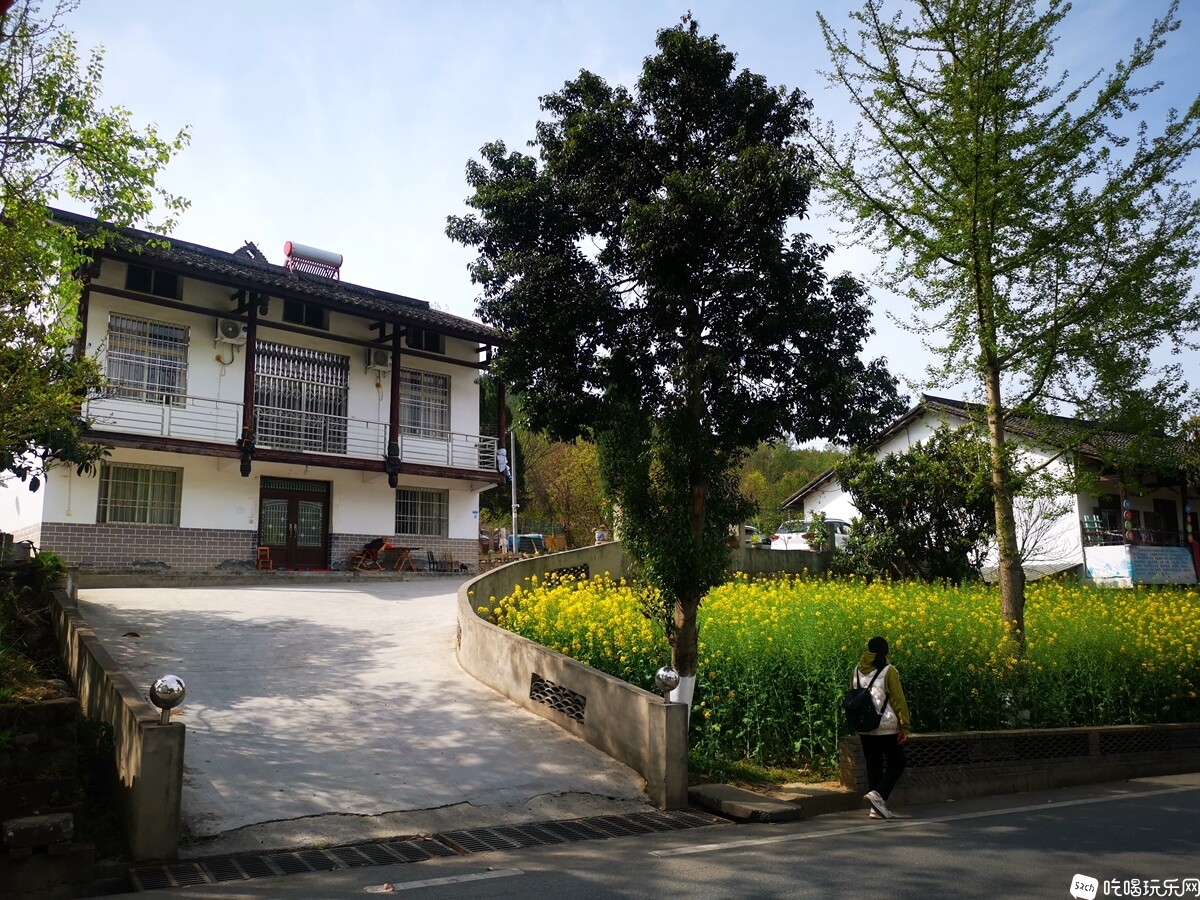 IMG_20230327_151541_副本.jpg
