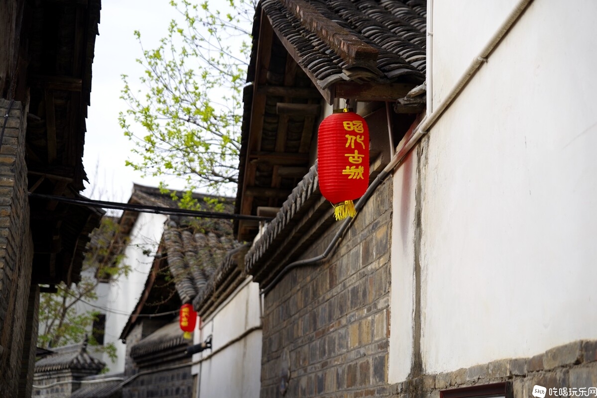 IMGP6162_副本.jpg
