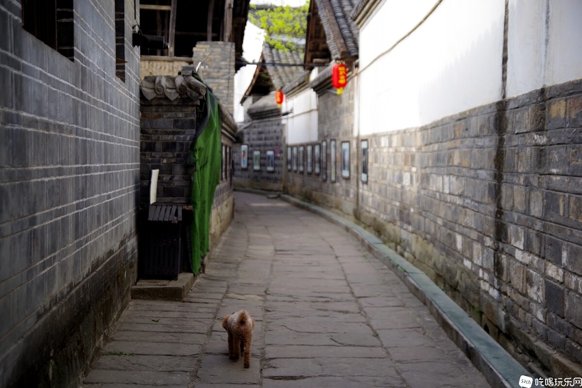 IMGP6160_副本.jpg