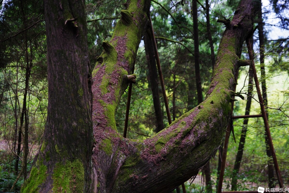 IMGP6409_副本.jpg