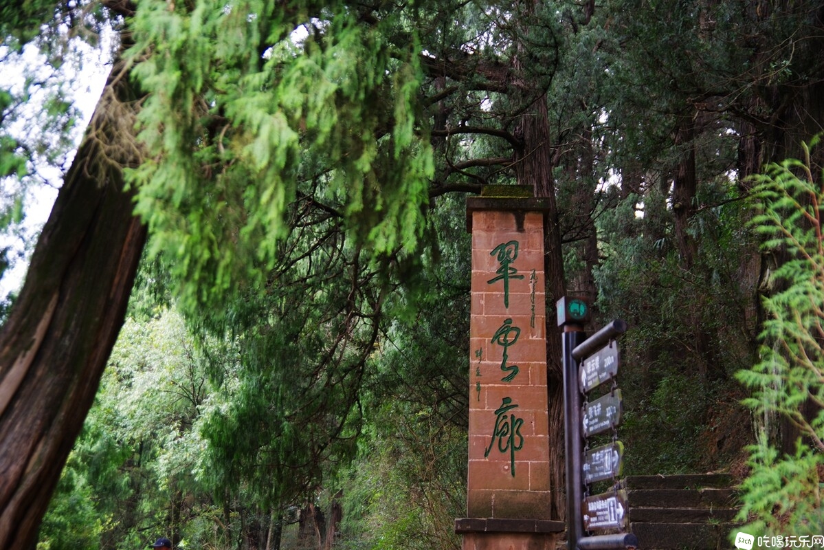 IMGP6453_副本.jpg