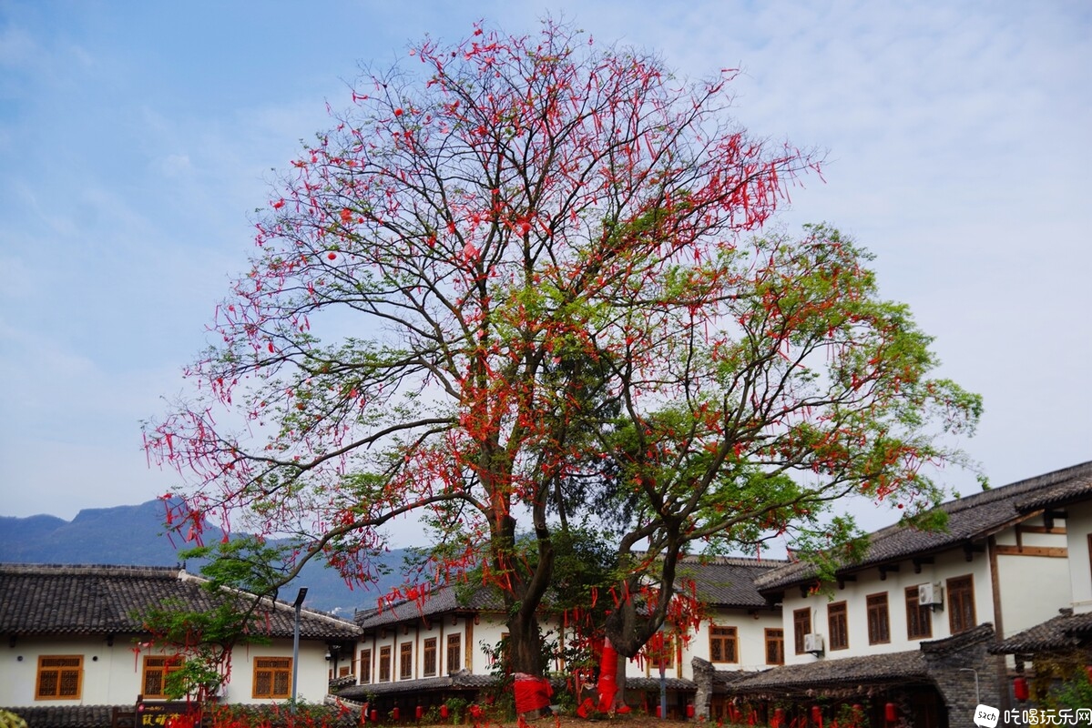 IMGP6700_副本.jpg