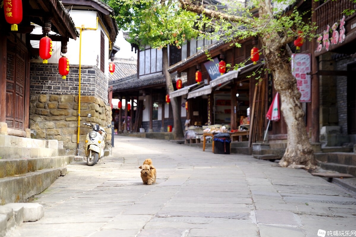 IMGP6742_副本.jpg