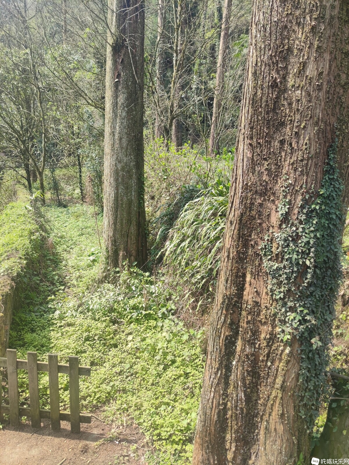 微信图片_20230418110105.jpg