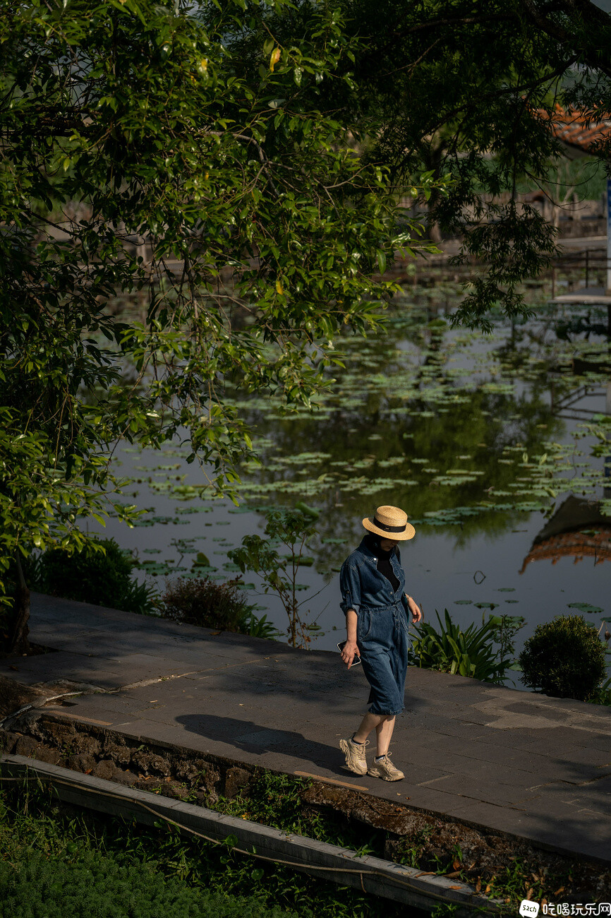 A7400990.jpg