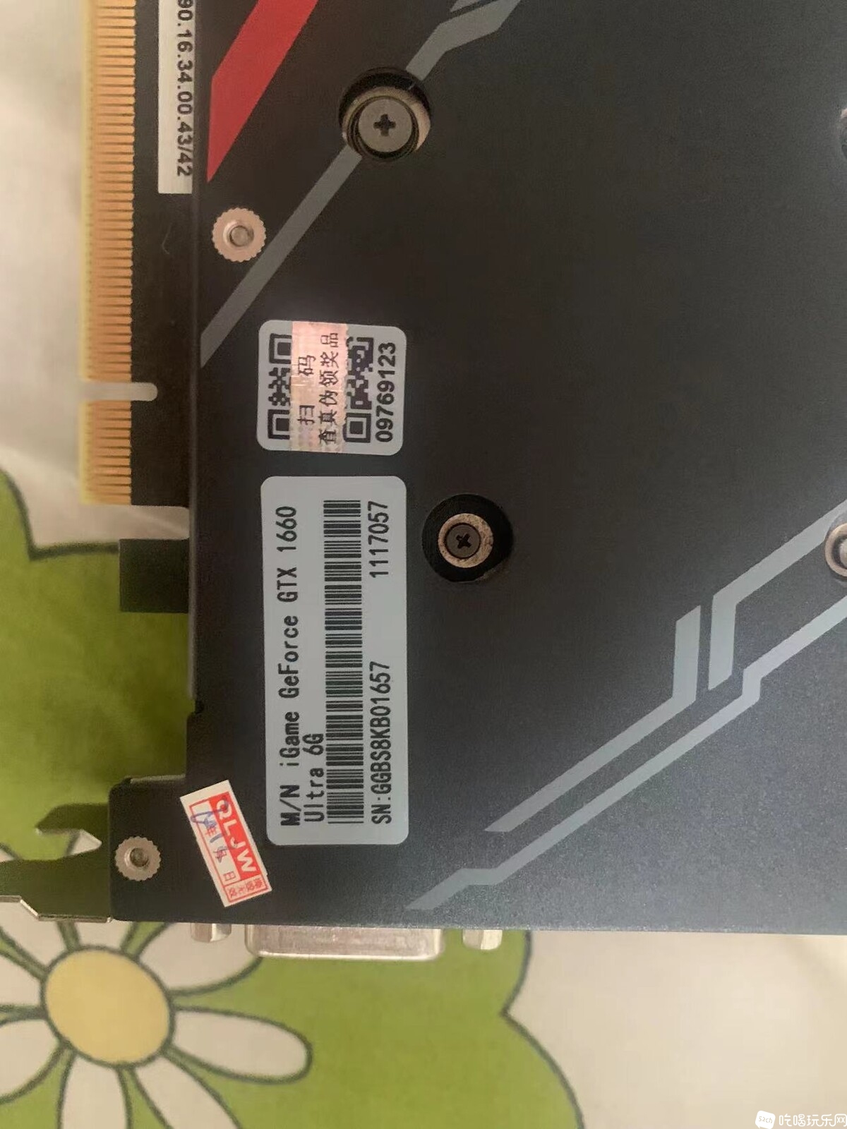 166600.jpg