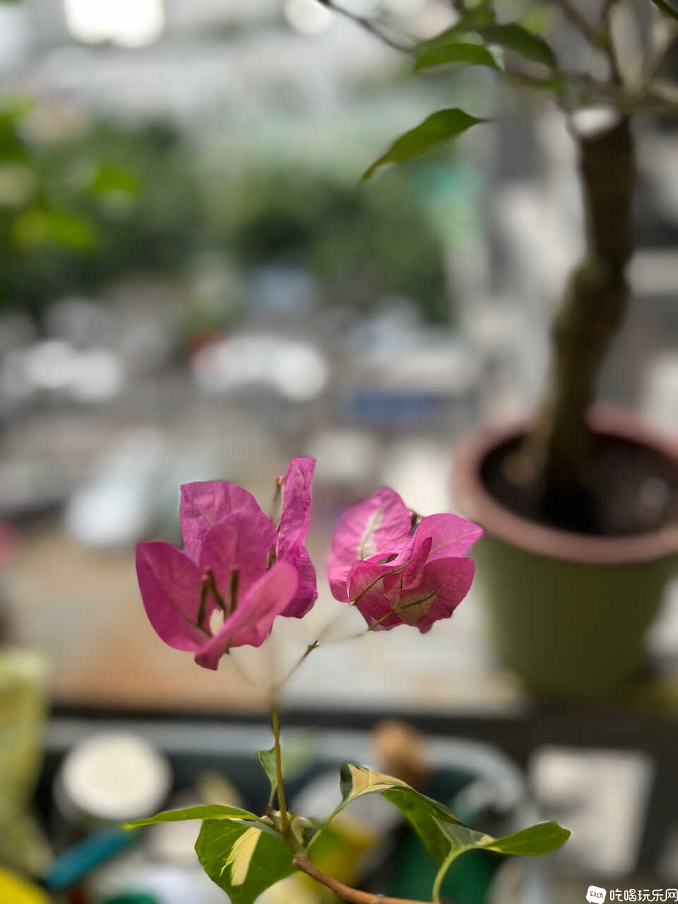 890DB5B8-A6C9-4550-951F-ABF272F70F5F.jpeg