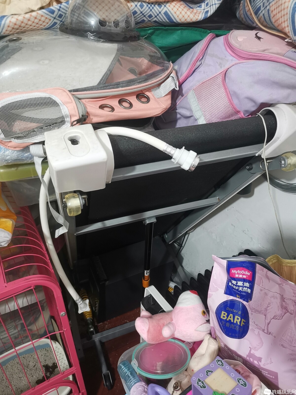被压住了，拍不到全貌