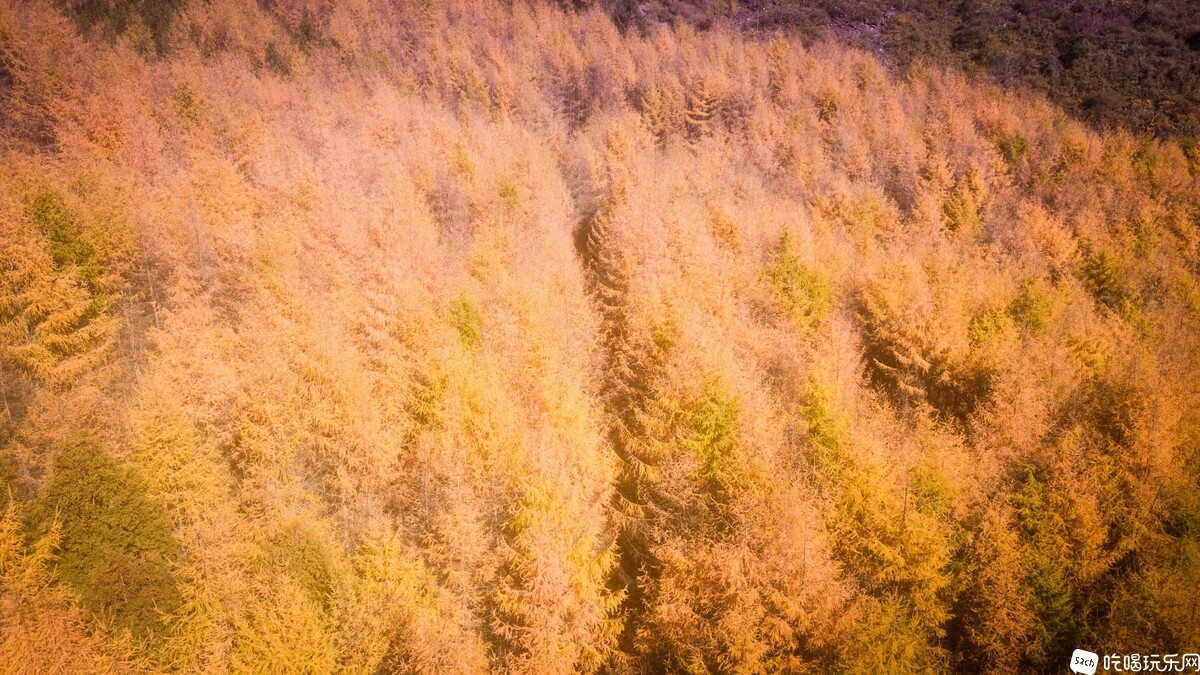 DJI_0691.jpg