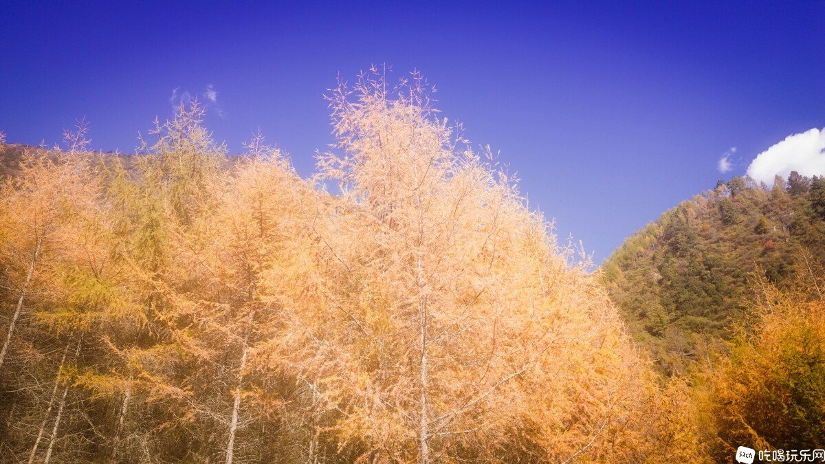 DJI_0695.jpg