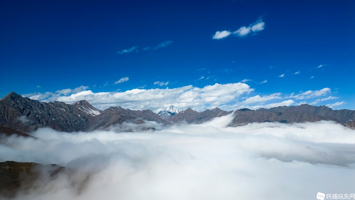 DJI_0785-已增强-NR_1.jpg