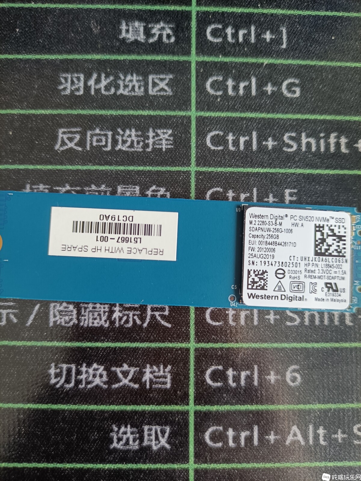 微信图片_20231125110226.jpg