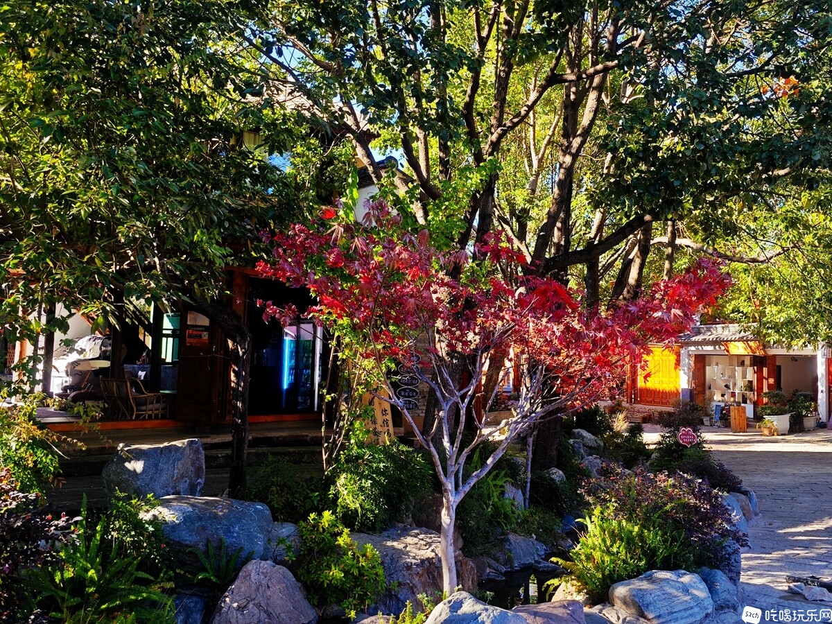 IMG_20231125_155556_副本.jpg